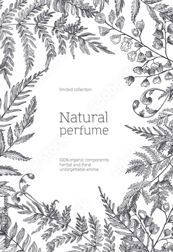 Monochrome flyer template decorated with forest ferns and herbs hand drawn with black contour lines on white background. Natural perfume or fragrance advertisement, promo. Vector illustration.