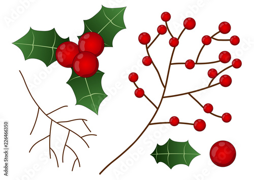 Red Berry with Leaf and Bra...