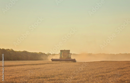 Harvesting combine in the field © Ryzhkov Oleksandr