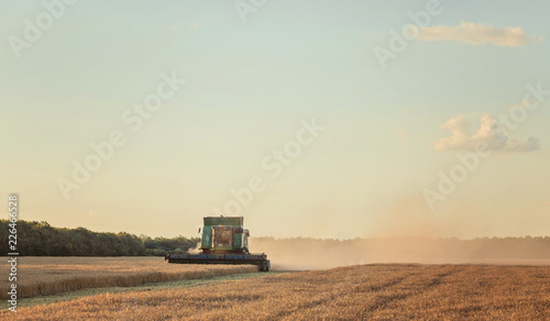 Harvesting combine in the field