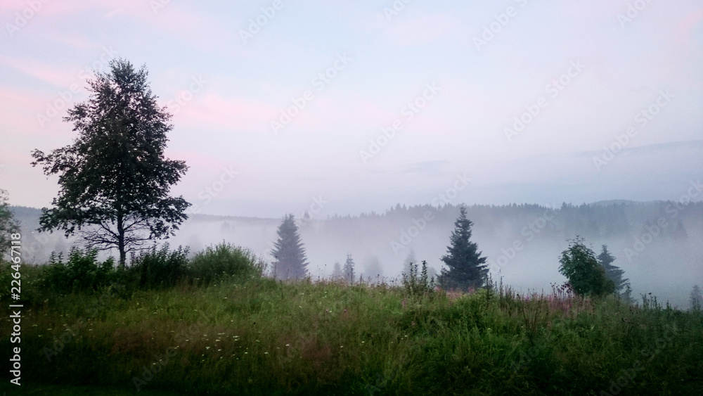 Misty evening in Bohemian Forest. Czech Republic. Misty evening in Bohemian Forest. Czech Republic.