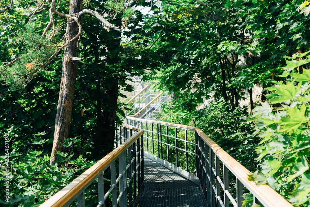 Fototapeta premium green trees and road bridge in the forest in the sunlight