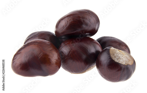 Chestnuts isolated on white background. As an element of packaging design.