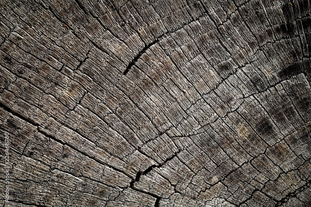 Fototapeta premium Holz, Wood, Maserung, Textur, Material 