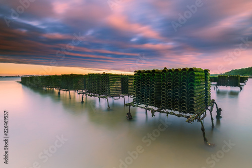 Parc à huitres au coucher du soleil