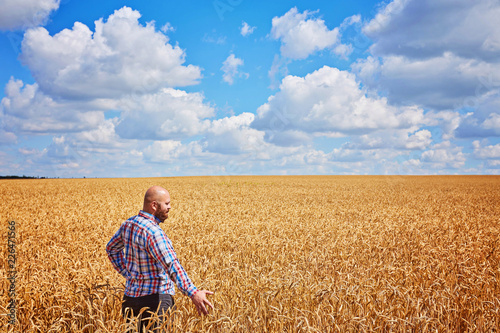 Farmer walking through a wheat field