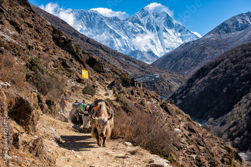 On the way to Everest base camp,Nepal pangboche village Nuptse Everest Lhotse peaks photo