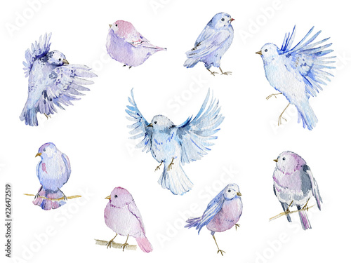 Watercolor birds collection...