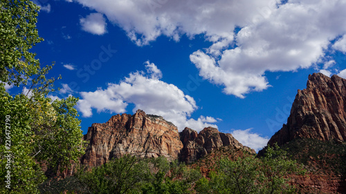 Amaing View in Zion National Park