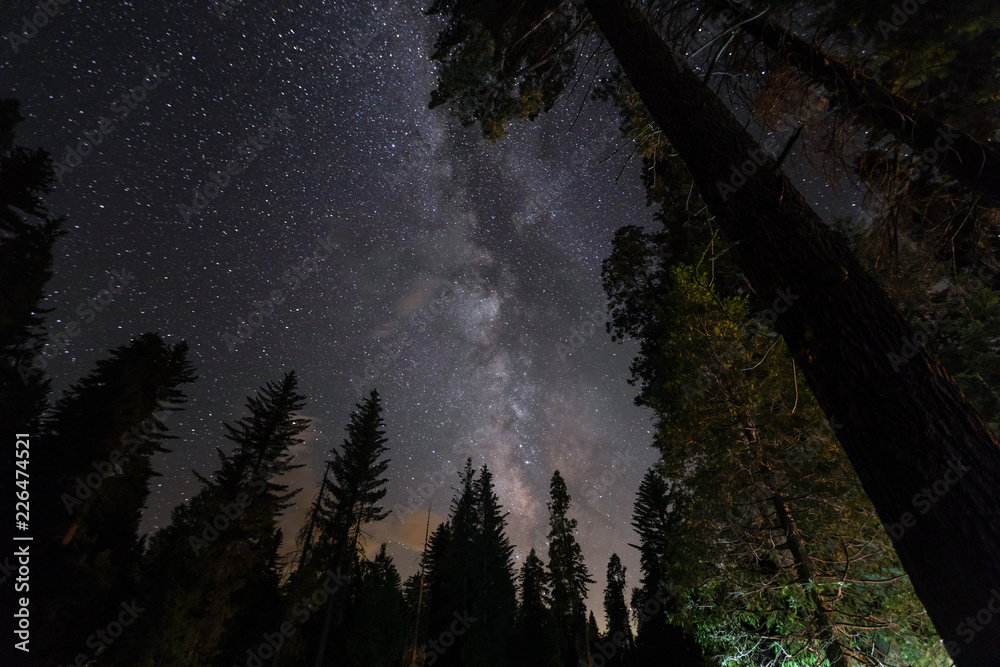 Milchstraße am Sternenhimmel im Kings Canyon / Sequoia National Park (Kalifornien)