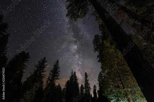 Milchstra  e am Sternenhimmel im Kings Canyon   Sequoia National Park  Kalifornien 