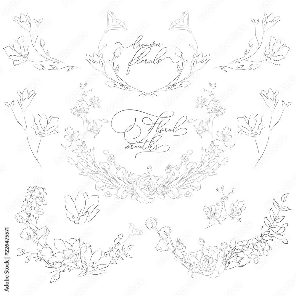 Fototapeta premium Vector Drawn Plants and Flowers, Wreaths, Corners, Branches