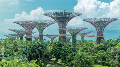 Supertrees at Gardens by the Bay .