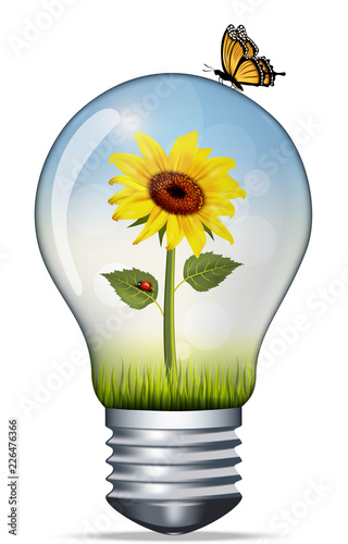 Vector illustration of a light bulb with a sunflower and a ladybug and on top of a butterfly, environmental concept, conseptual green energy and nature conservation photo