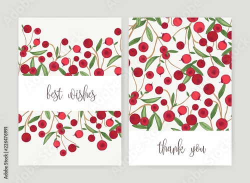 Collection of postcard templates with forest cranberries and leaves on white background and holiday wish. Bundle of cards decorated by ripe delicious boreal berries. Colorful vector illustration.