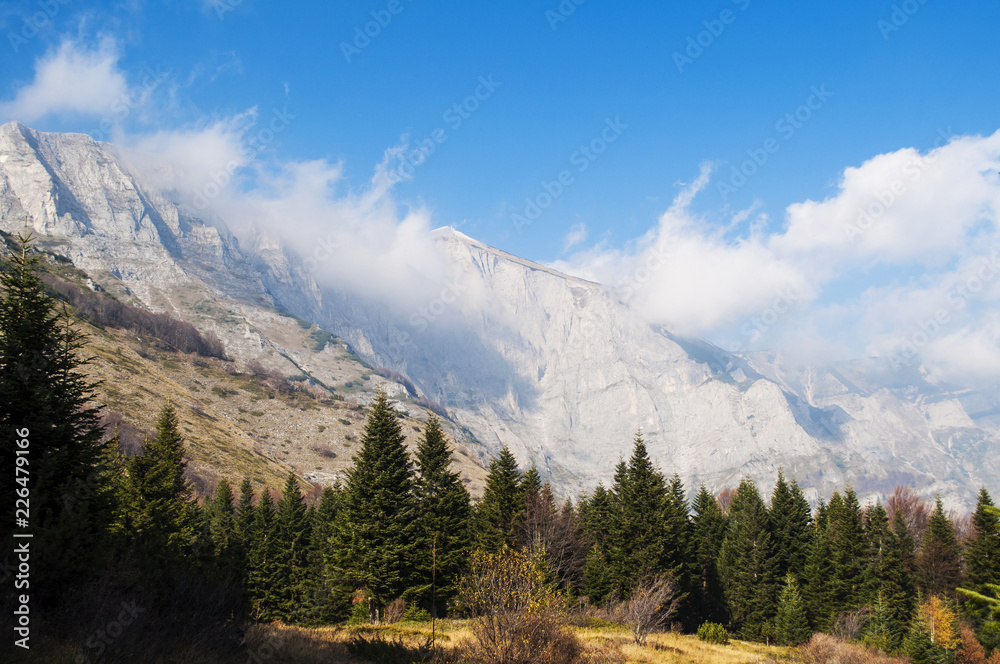 Mountain landscape in autumn, yellow grass and trees, peak in clouds in distance.