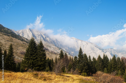 Mountain landscape in autumn, yellow grass and trees, peak in clouds in distance.