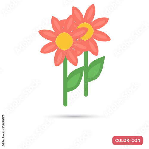 Honey flowers color flat icon