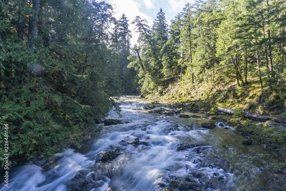 View of Little Qualicum Falls on Vancouver Island, Canada View of Little Qualicum Falls on Vancouver Island, Canada