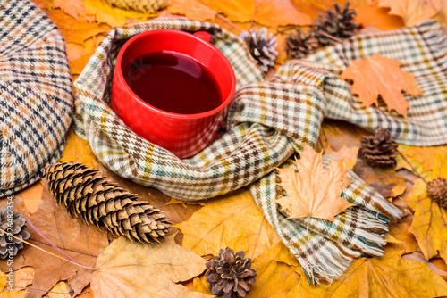 Warming beverage. Mug cozy aromatic beverage scarf and kepi. Hot drink for autumnal walk. Mug of tea covered surrounded by scarf autumnal background with fallen maple leaves and fir cones