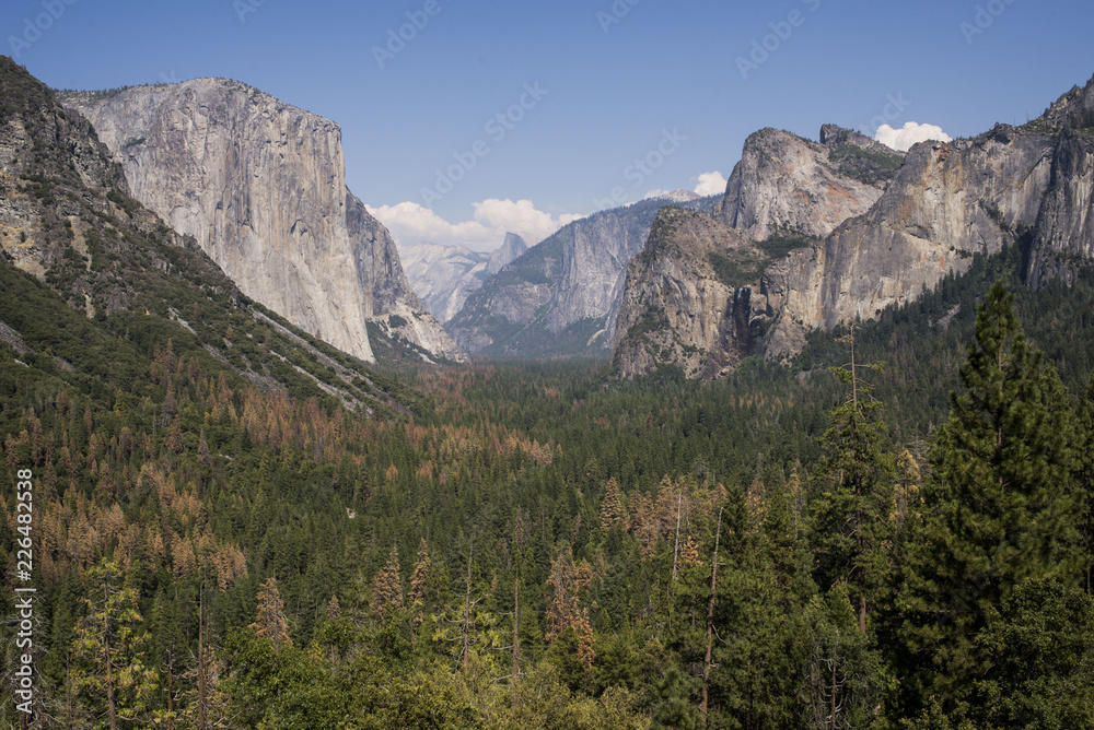 Tunnel VIew Yosemite