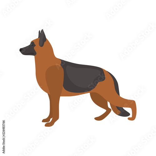 German Shepherd color vector icon. Flat design
