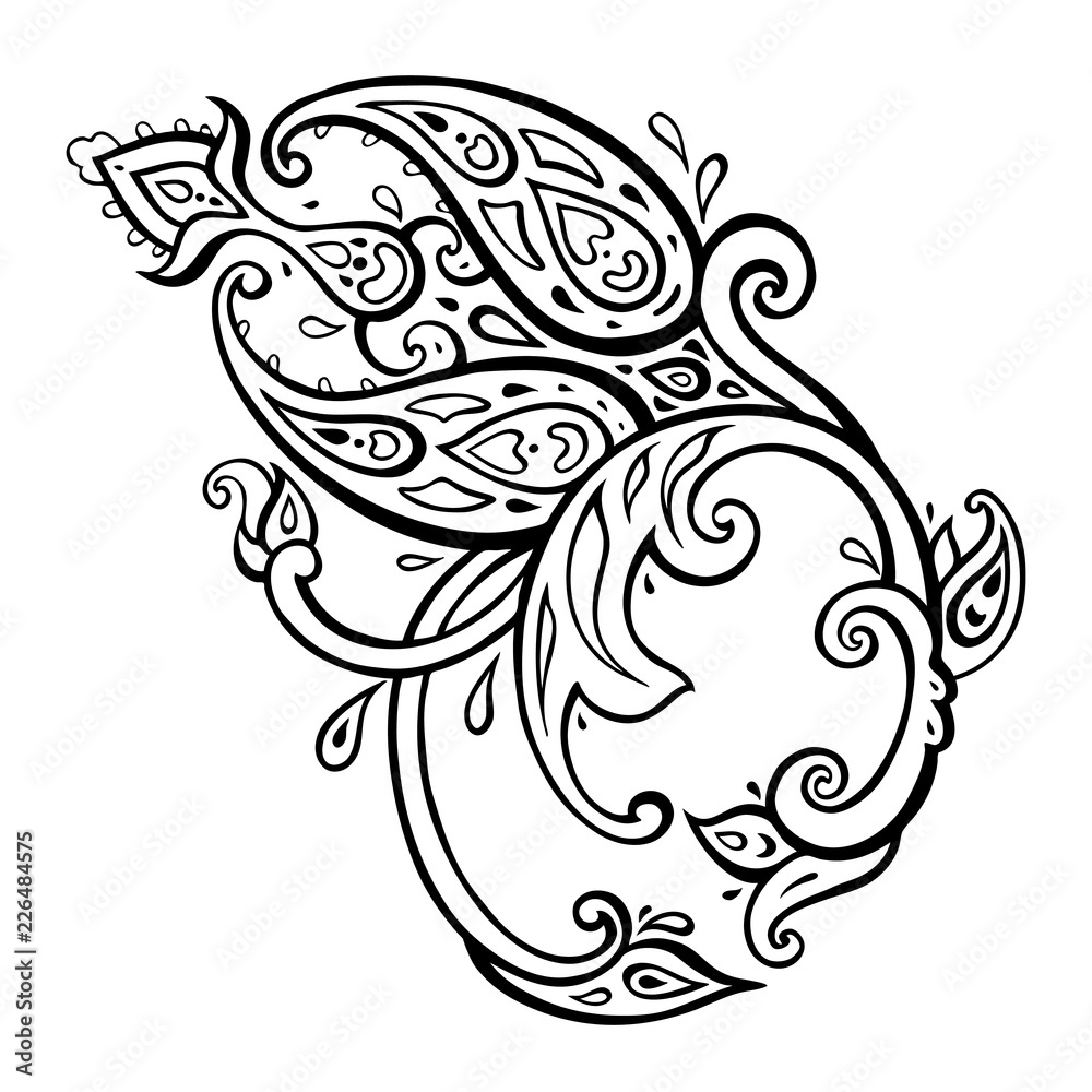 Exotic Paisley. Ethnic ornament. Hand Drawn Boho Vector illustration Exotic Paisley. Ethnic ornament. Hand Drawn Boho Vector illustration