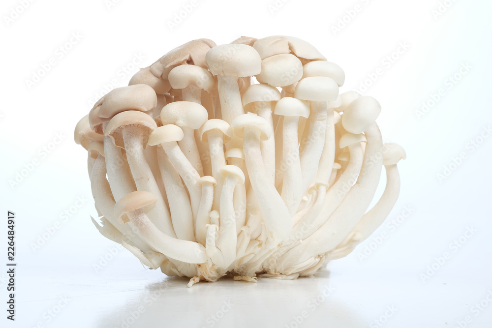 'Mushroom' good food from nature for good health. 'Mushroom' good food from nature for good health.