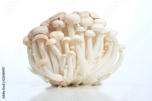 'Mushroom' good food from nature for good health.