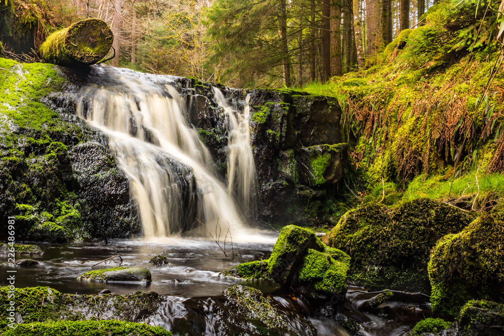 Fototapeta premium waterfall in the forest