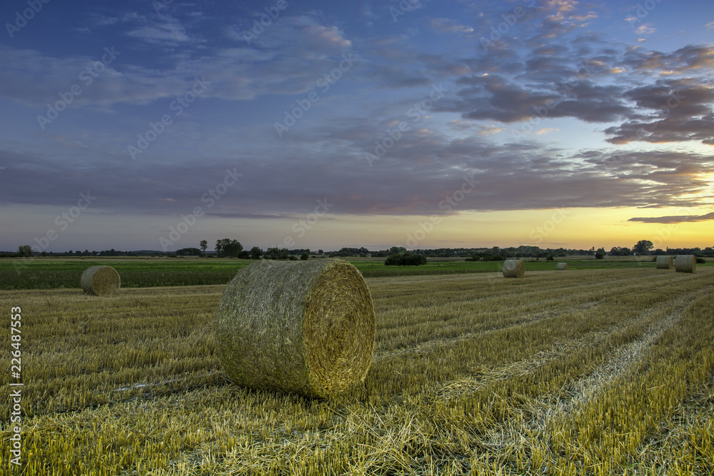 Wheels of hay on the field after sunset