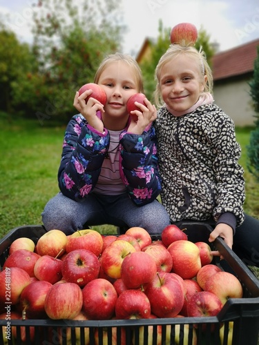 deaux filles récolte de pommes photo