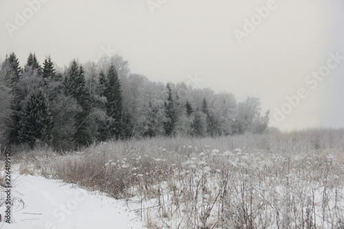 Winter in Russia landscape with forest and field