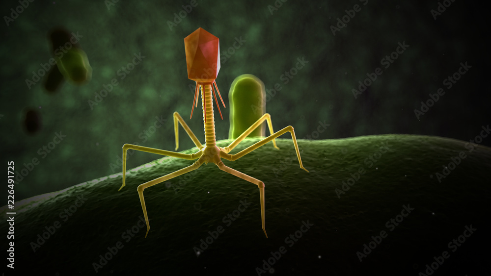 3d rendered medically accurate illustration of bacteriophage Stock ...