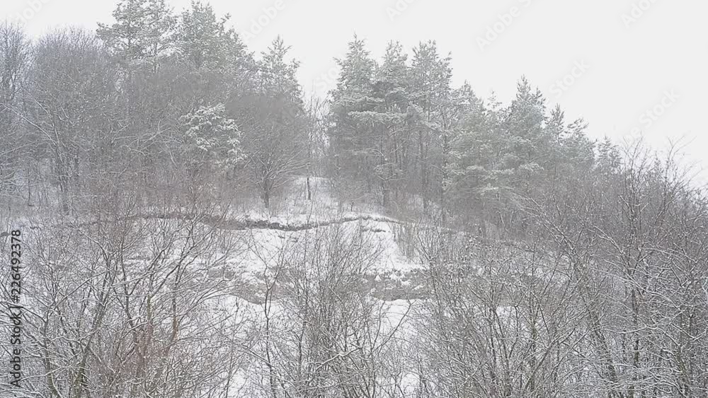 Winter countryside landscape Winter countryside landscape