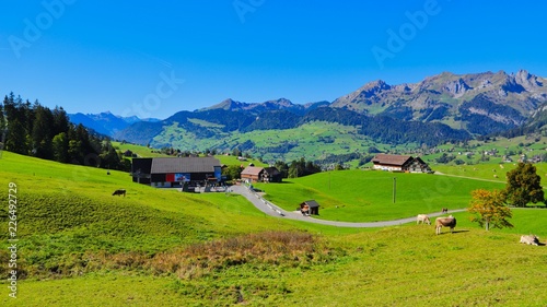 urlaub in der schweiz