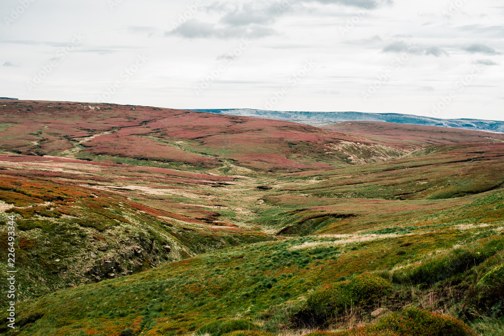 Boulders, Hoper Woodlands Moor, Peak District National Park, United Kingdom