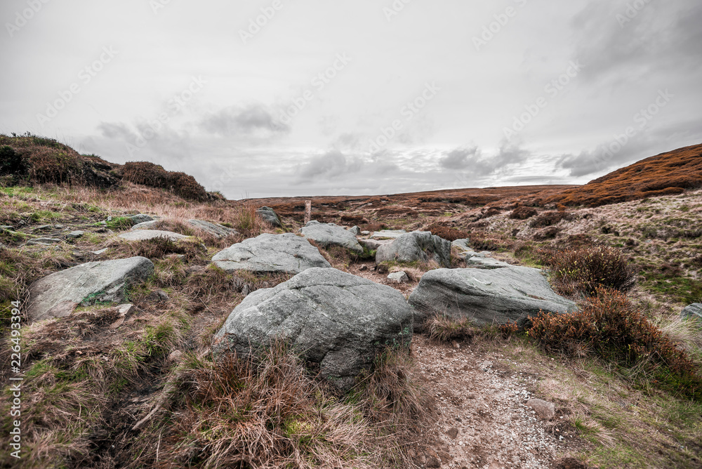 Boulders, Hoper Woodlands Moor, Peak District National Park, United Kingdom