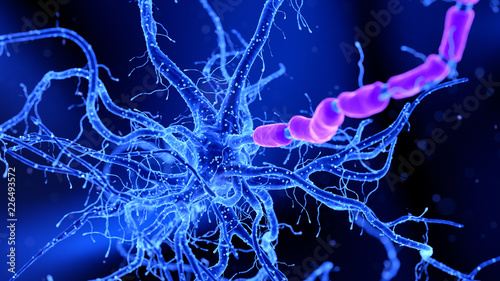 3d rendered medically accurate illustration of a nerve cell