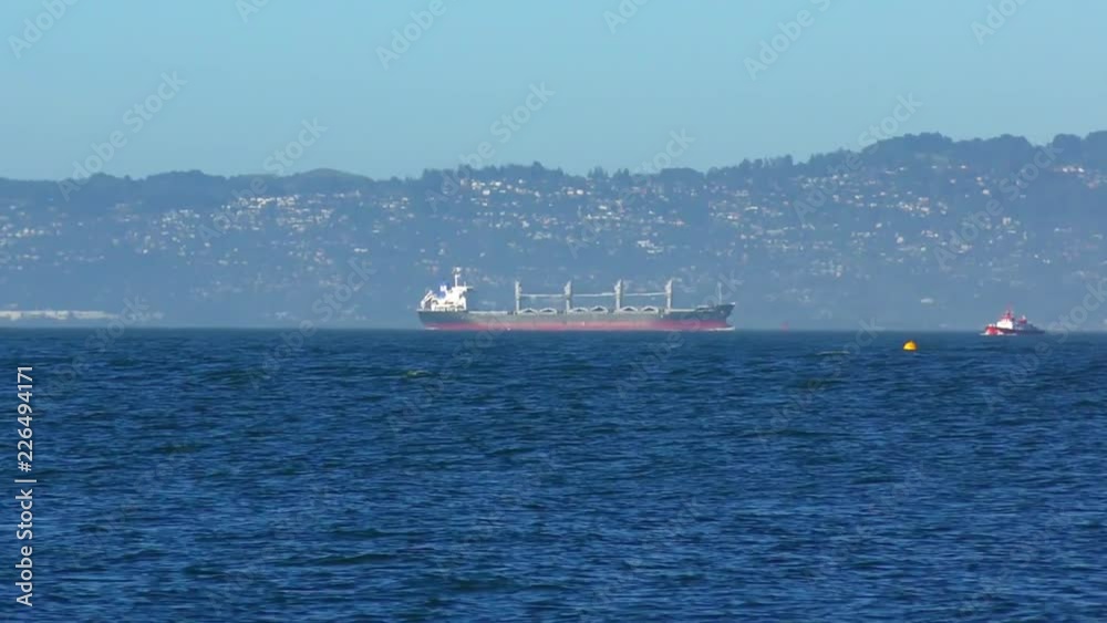 View from Chrissy Field in San Francisco, California, USA.