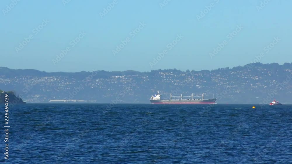 View from Chrissy Field in San Francisco, California, USA. View from Chrissy Field in San Francisco, California, USA.