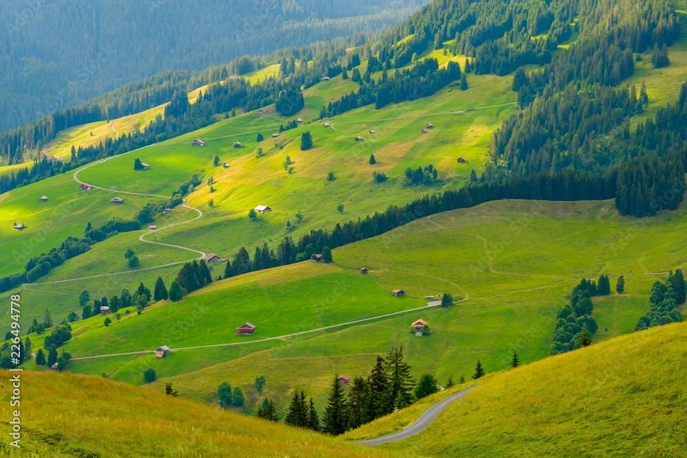 Summer landscape of Switzerland rural country side, near Habkern village