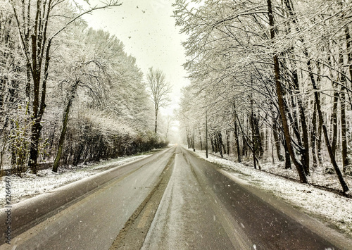 Winter road  © JoOn