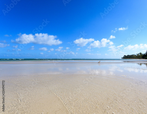 Karibik pur  Ferien  Tourismus  Sommer  Sonne  Strand  Auszeit  Meer  Gl  ck  glitzernde Wasseroberfl  che  Entspannung  Meditation  Traumurlaub an einem einsamen  karibischen Strand   