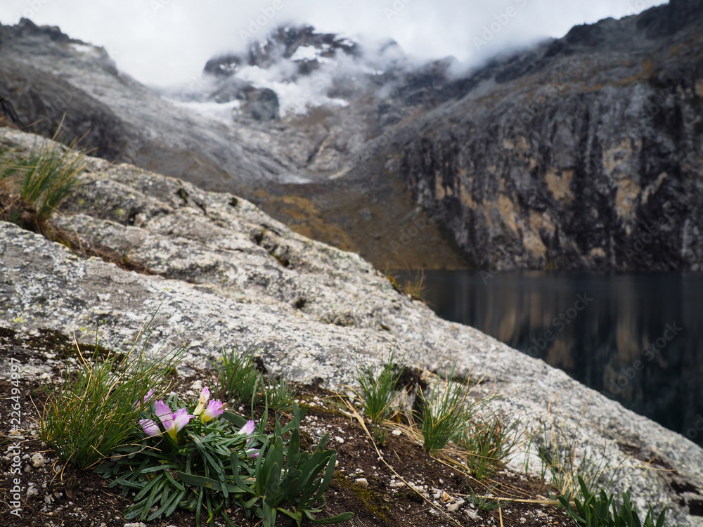 Laguna Chrup, Huascaran National Park, Peru Laguna Chrup, Huascaran National Park, Peru