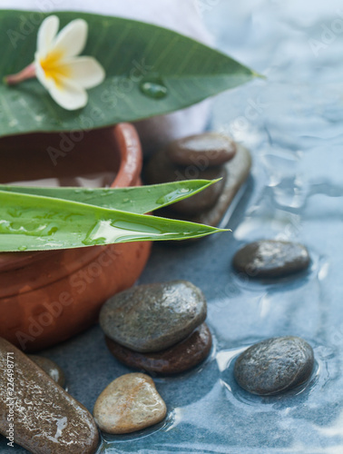 Spa natural tropical flowre and leaves with stones for massage treatment on blue background. photo
