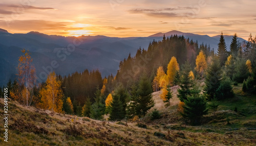 Tableau sur toile autumn mountain forest at sunrise