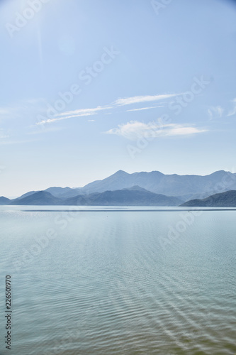 Skadar lake. National park. Montenegro. Summer