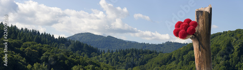 Schwarzwälder Bollenhut photo