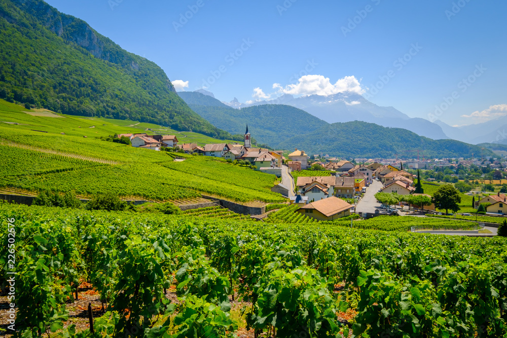 Summer Switzerland valley landscape with vineyards at foreground near Aigle